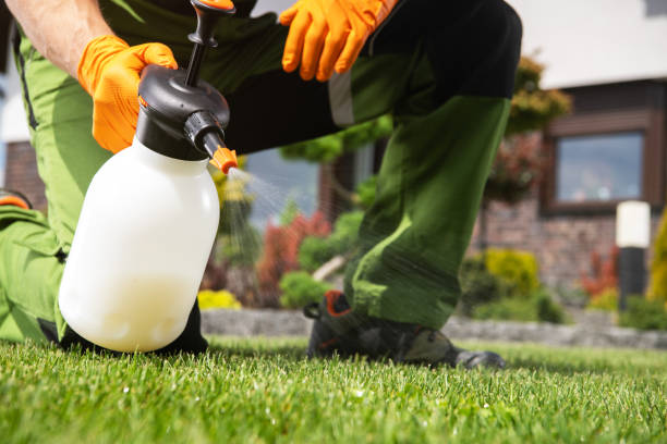 Best Flea Control Services  in Wilsonville, OR