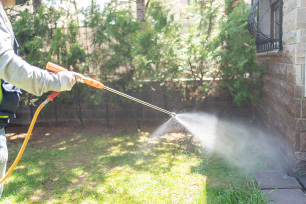 Best Local Pest Control Services  in Wilsonville, OR