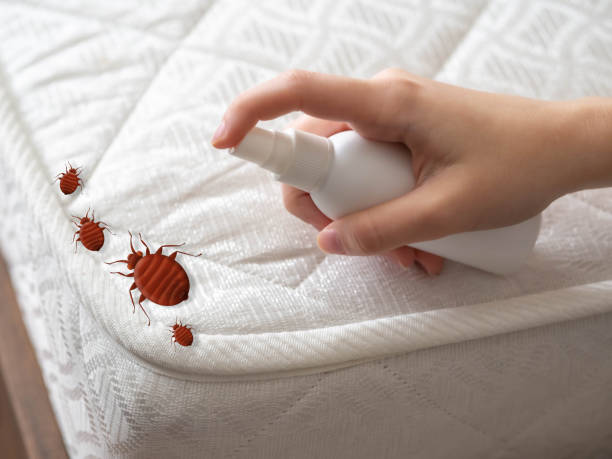 Best Mosquito Control Services  in Wilsonville, OR