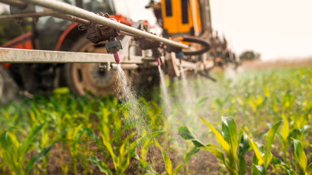 Professional Pest Control in Wilsonville, OR