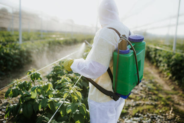 Best Best Pest Control Companies  in Wilsonville, OR